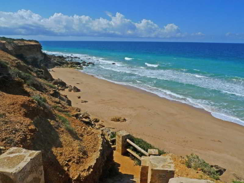 El Celemin De Conil Bed & Breakfast Conil De La Frontera Dış mekan fotoğraf