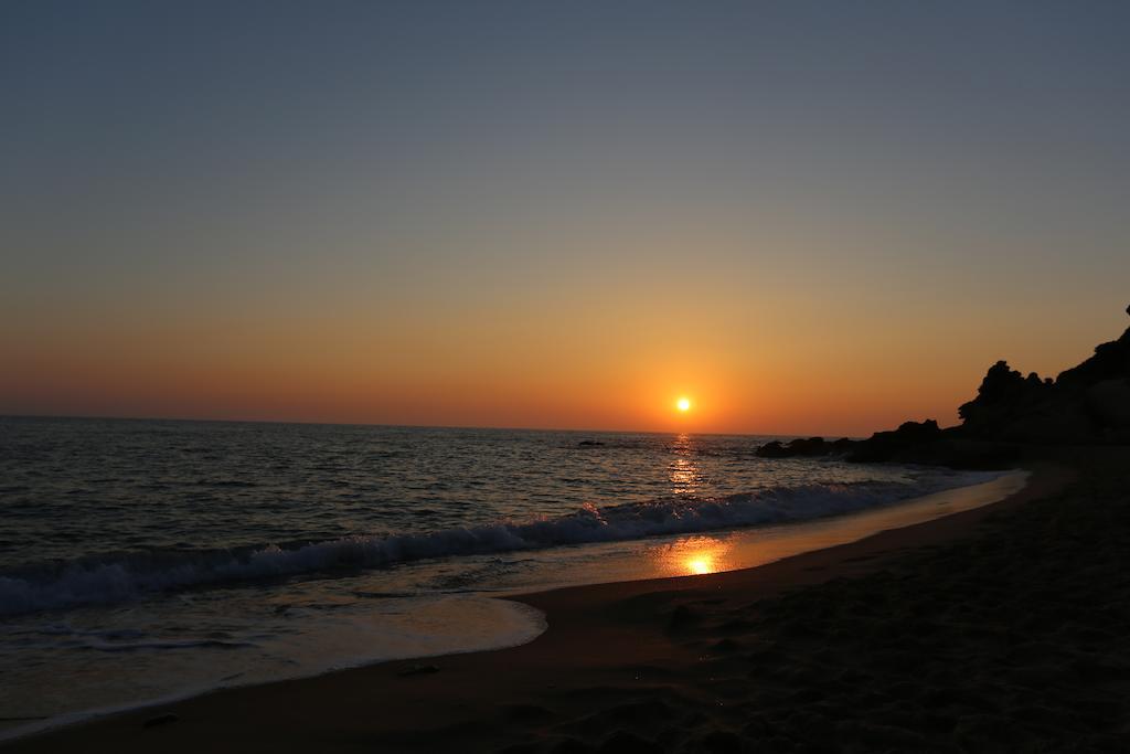 El Celemin De Conil Bed & Breakfast Conil De La Frontera Dış mekan fotoğraf