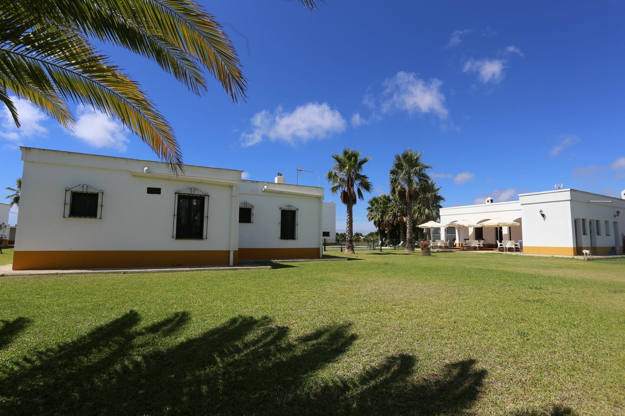 El Celemin De Conil Bed & Breakfast Conil De La Frontera Dış mekan fotoğraf