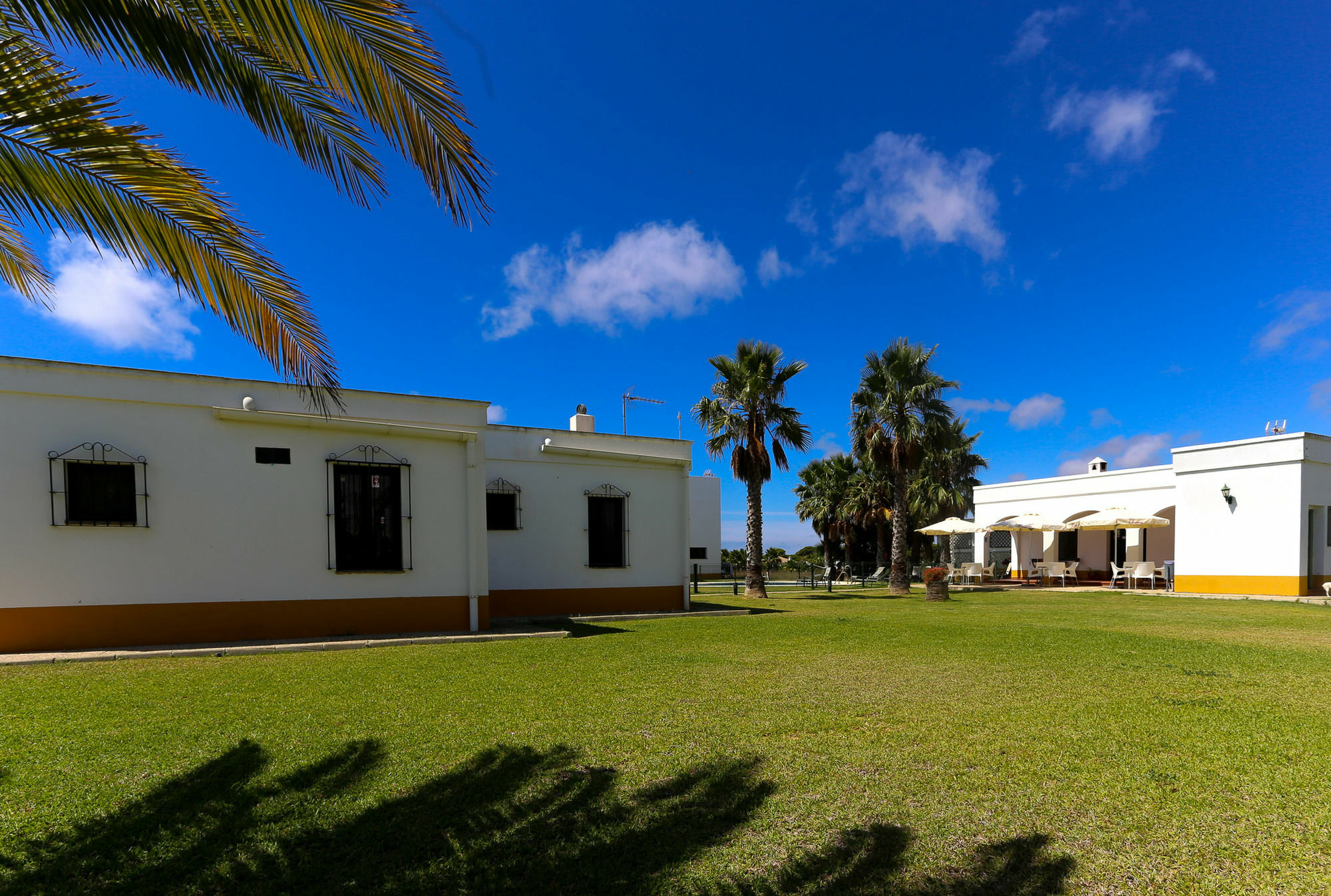 El Celemin De Conil Bed & Breakfast Conil De La Frontera Dış mekan fotoğraf